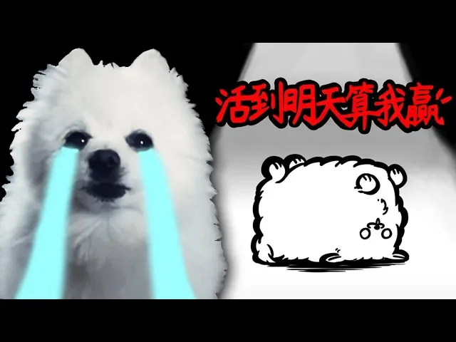 【活到明天算我贏】被蝴蝶殺死!命運超慘的博美狗...|勝てる気がしない!